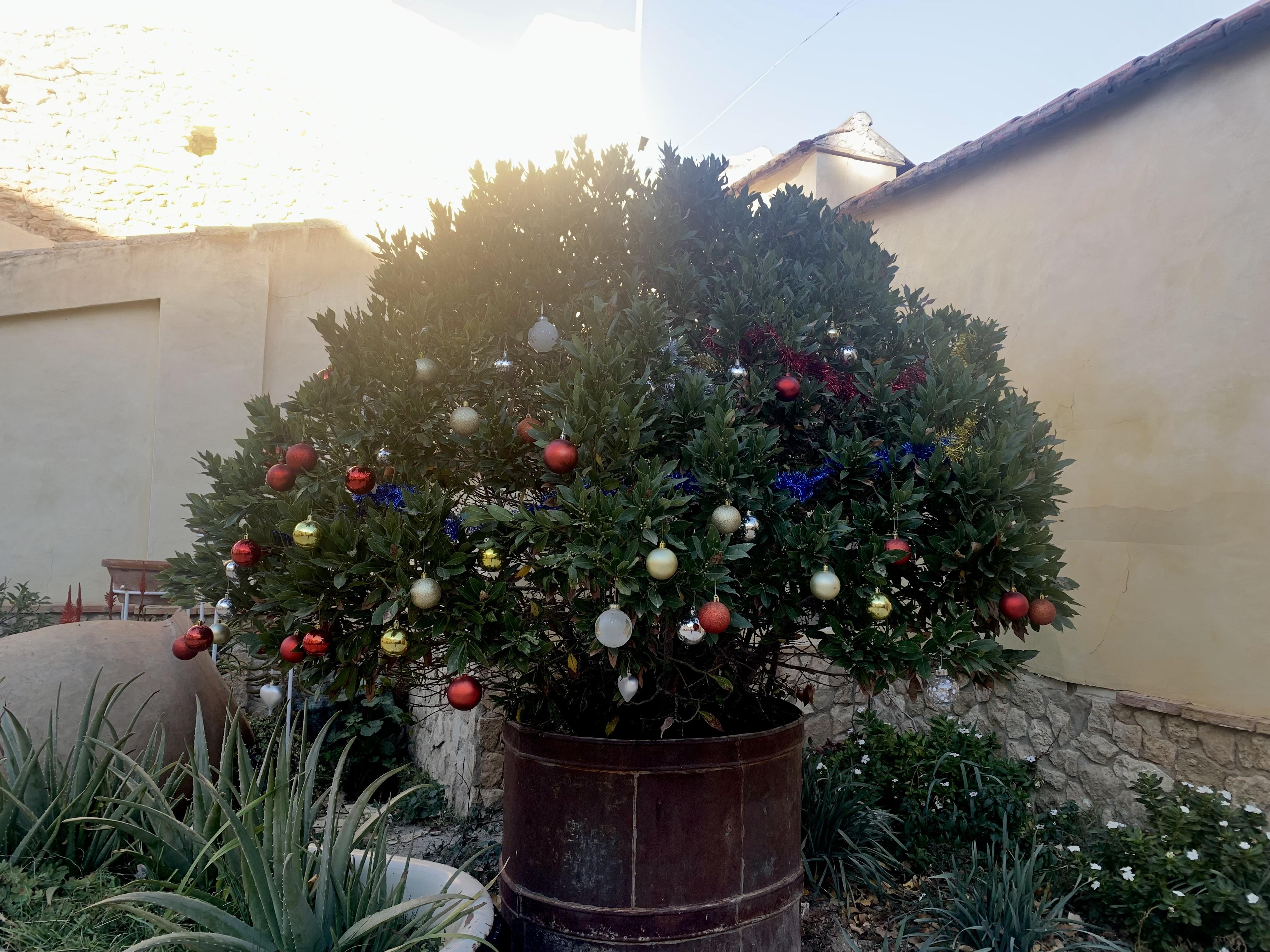 Weihnachtsbaum