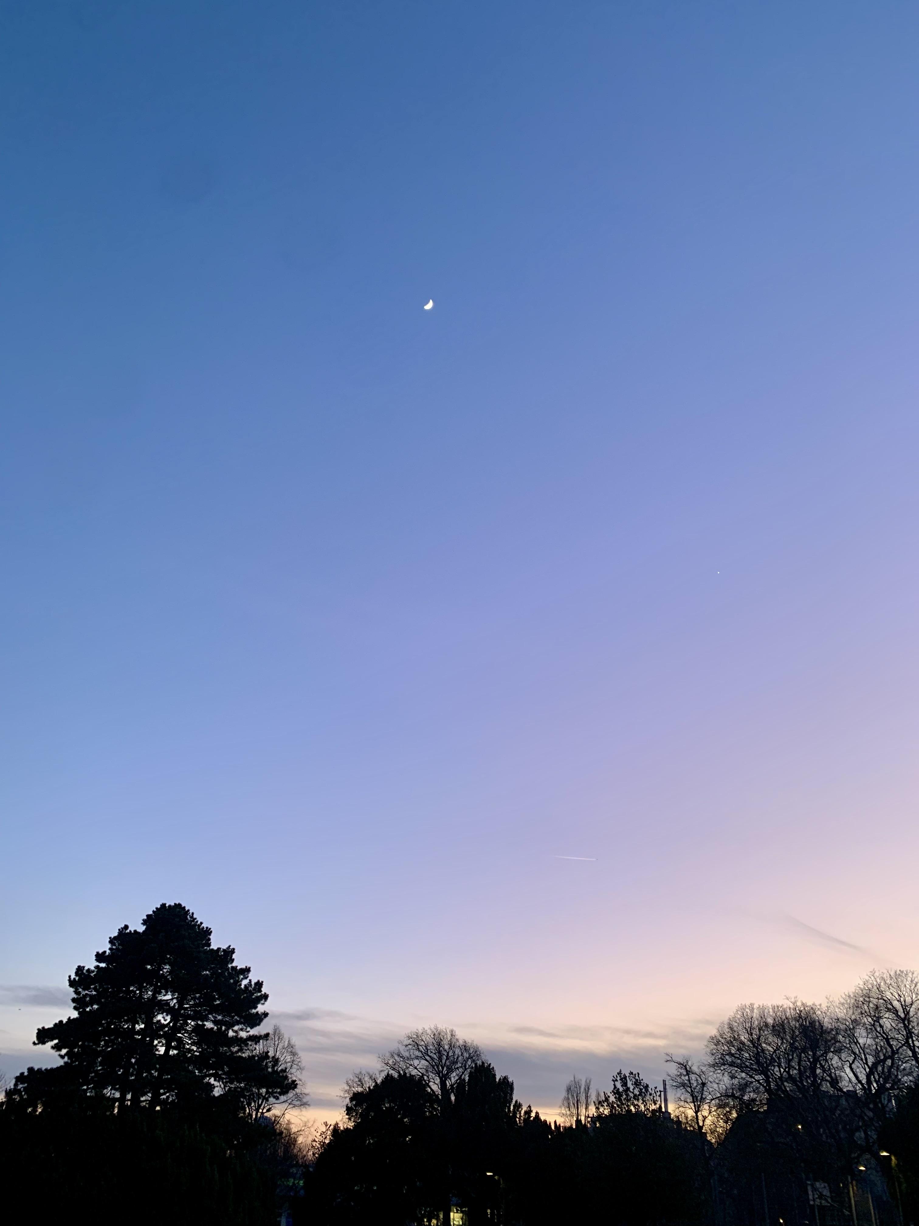 Abenddämmerung im Heiligenstädter Park