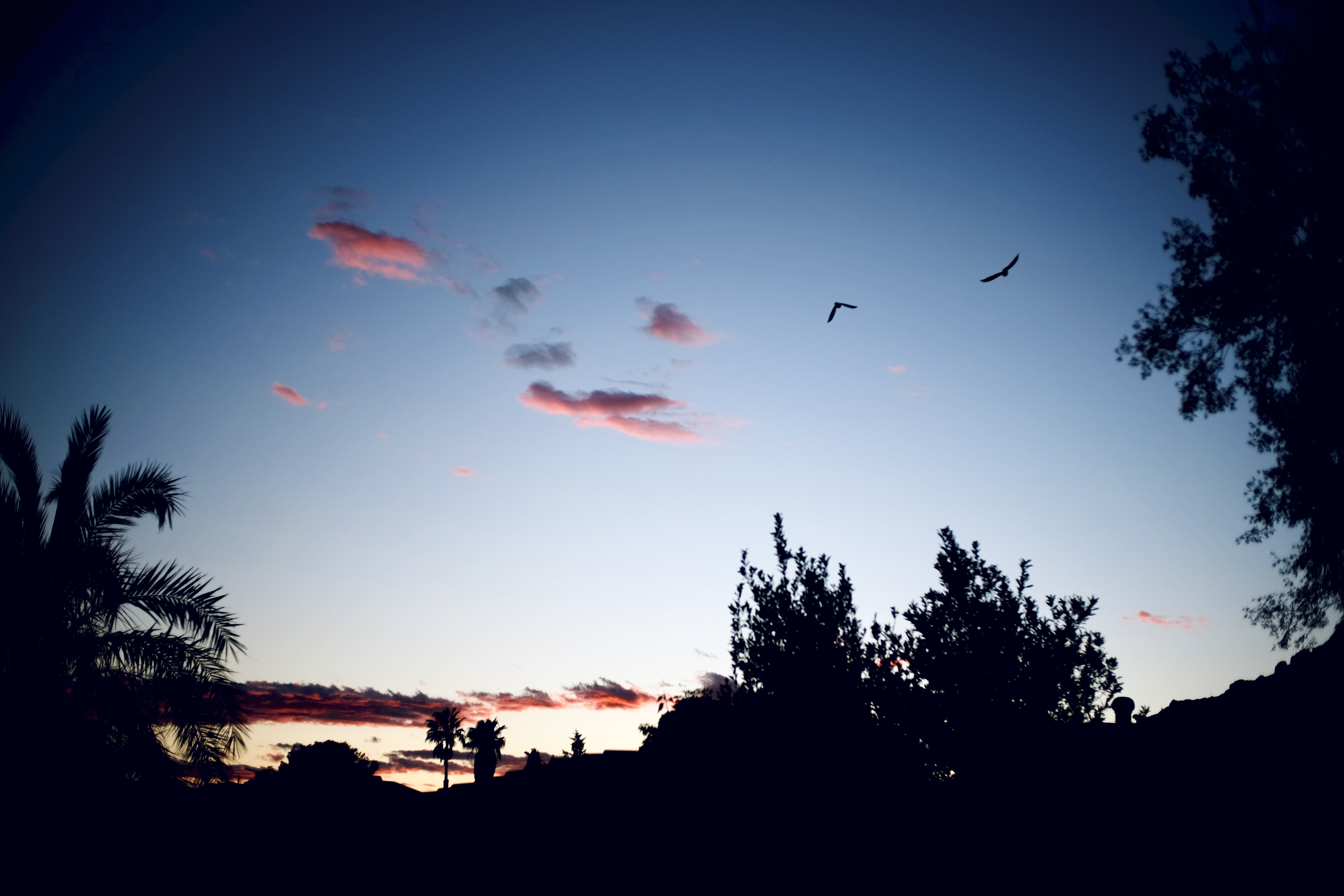 Dem Abendlicht nach