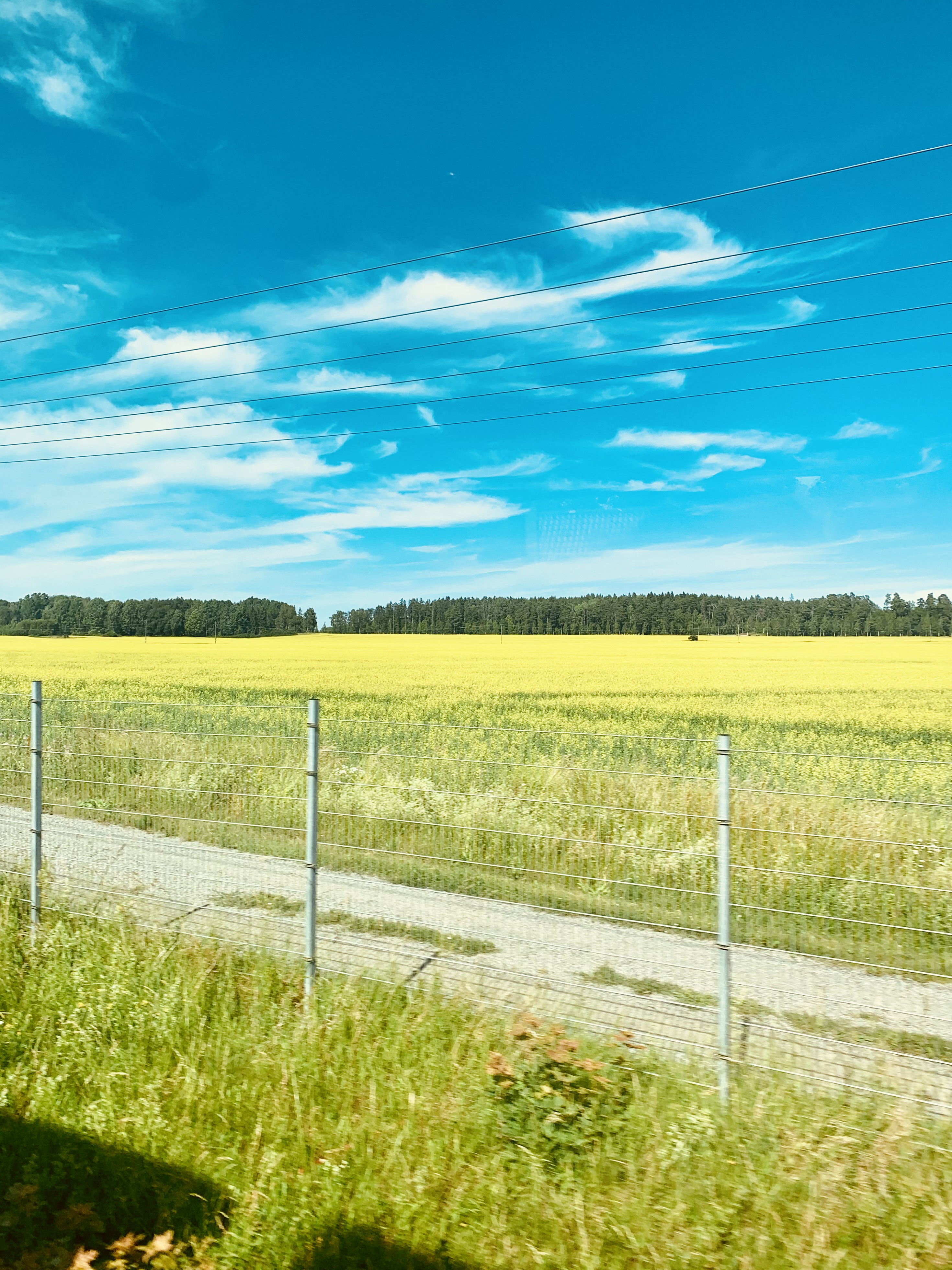 Passing by Fields of Gold