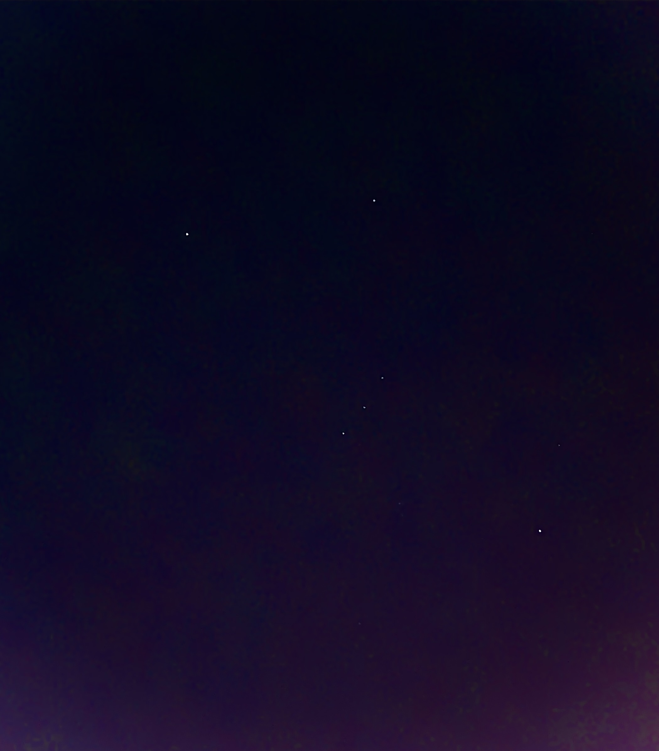Orion